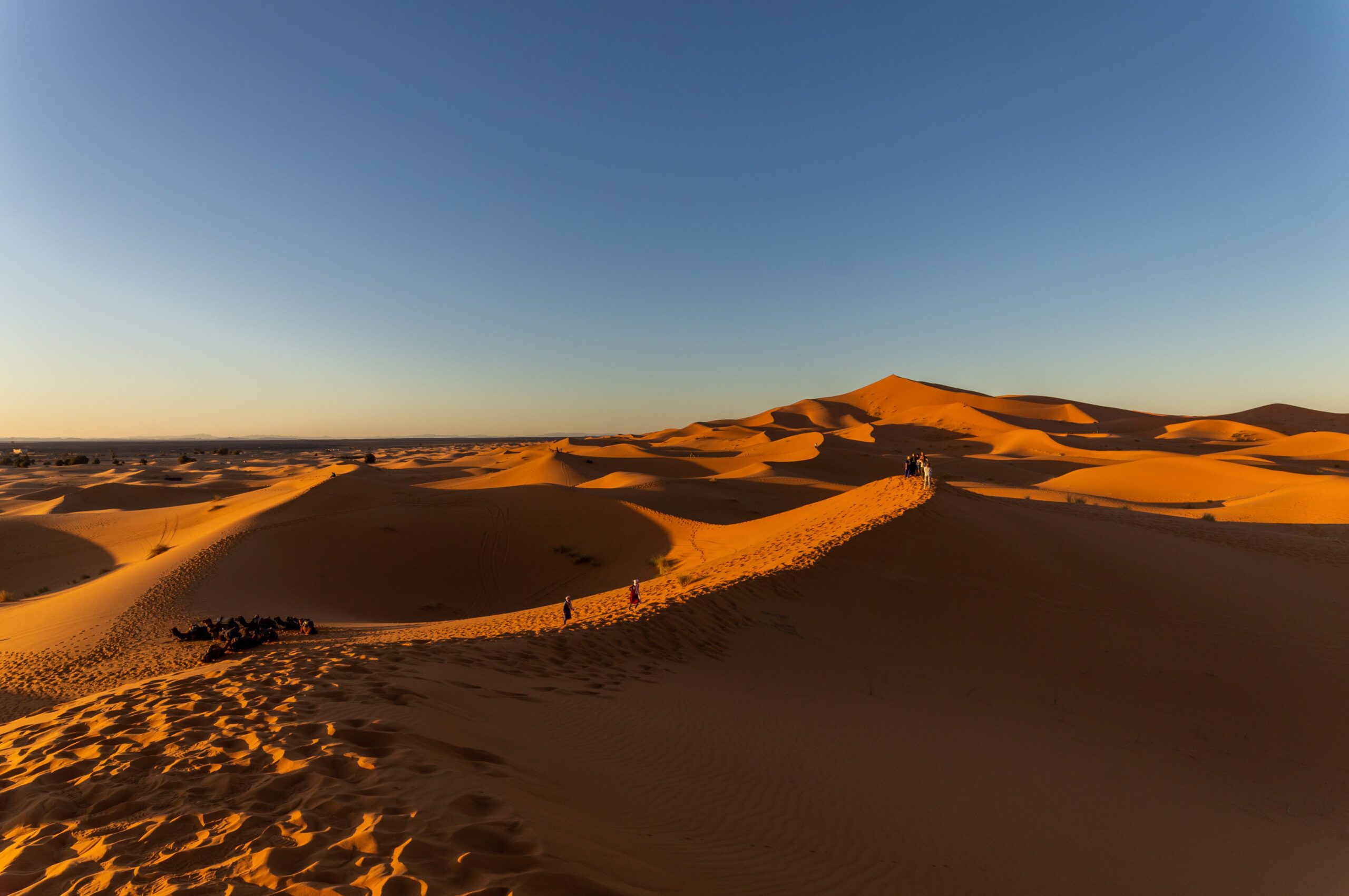 A shot of North Algodones Dunes