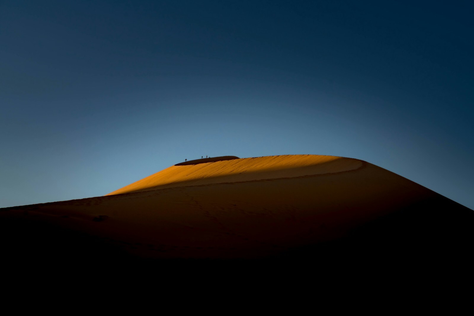 Sunset camel ride on one of the best Morocco tours