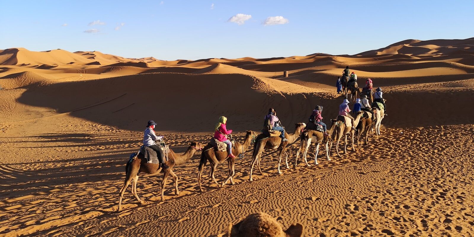 Family riding camels in the Sahara Desert during Morocco Family Tour